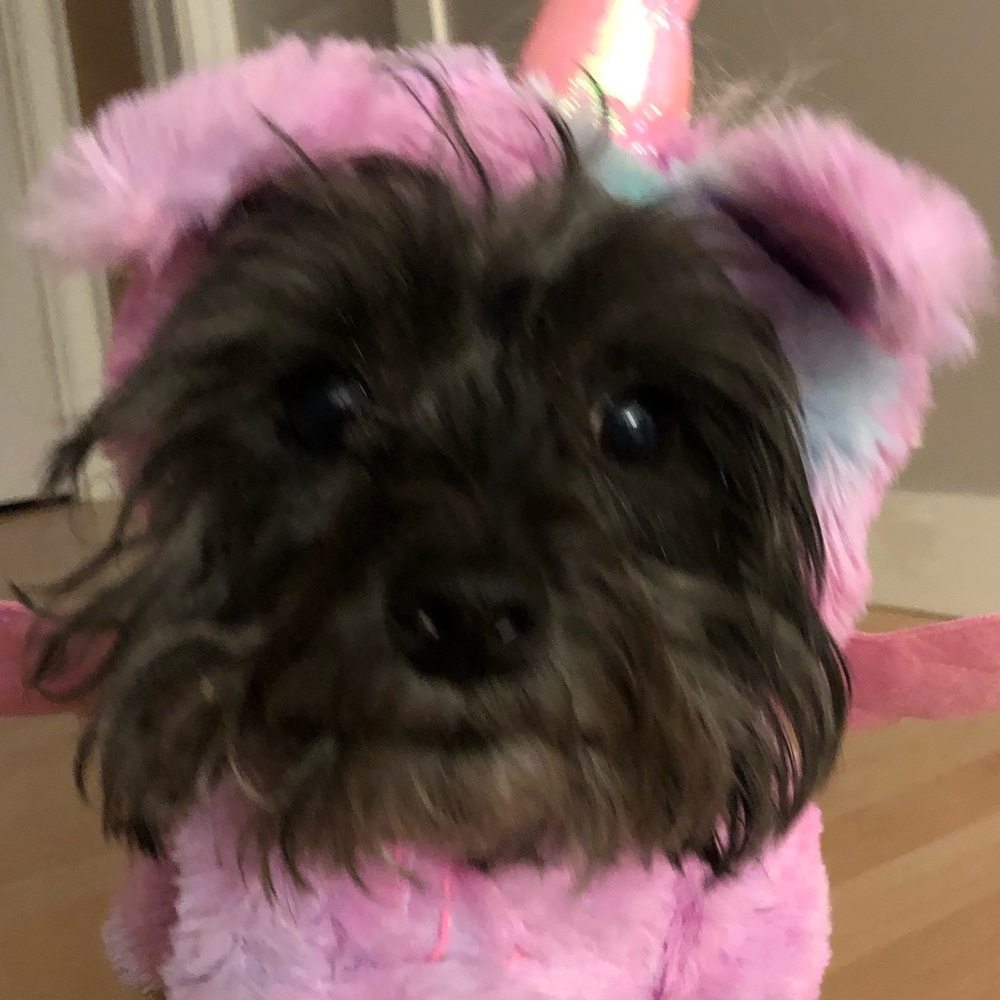 Meet your Posher, Toni